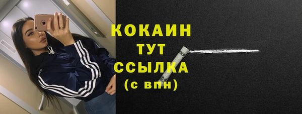apvp Пестово