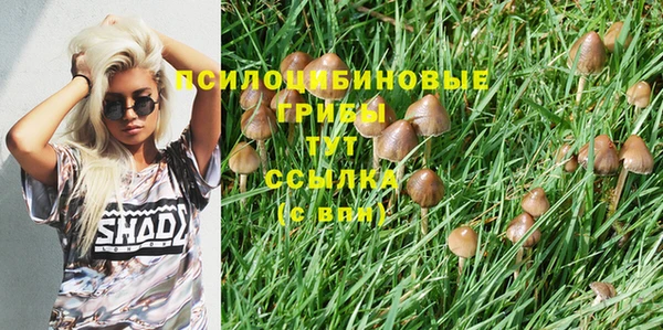 каннабис Алзамай