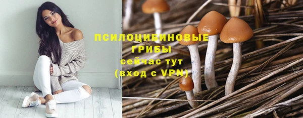 каннабис Алзамай